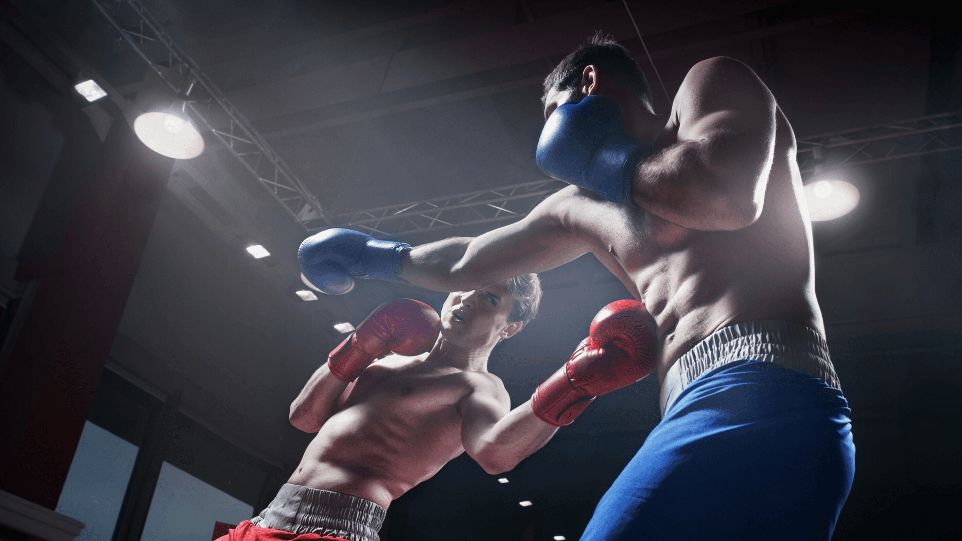 Zwei Boxer im Kampf